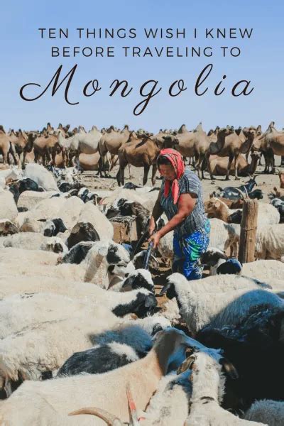 11 Things To Know Before Visiting Mongolia .